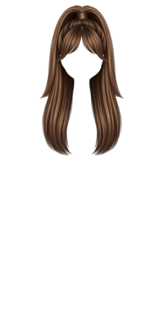 Brunette Half Up Half Down Pony