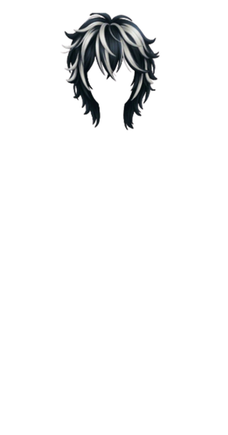 Shaggy Black Hair With White Streaks