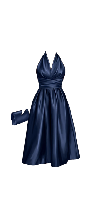 Navy Dress
