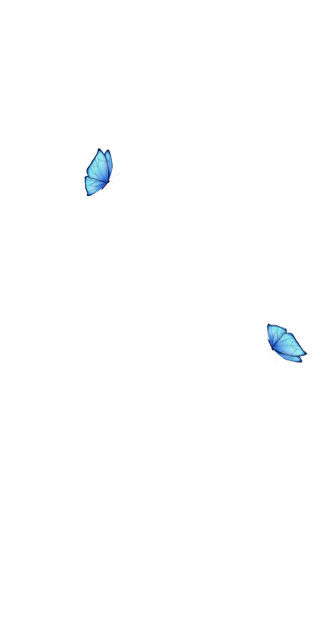 butterflies