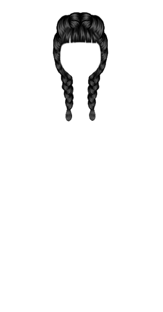 Black Braids 1