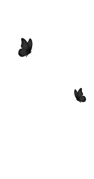 black butterflies
