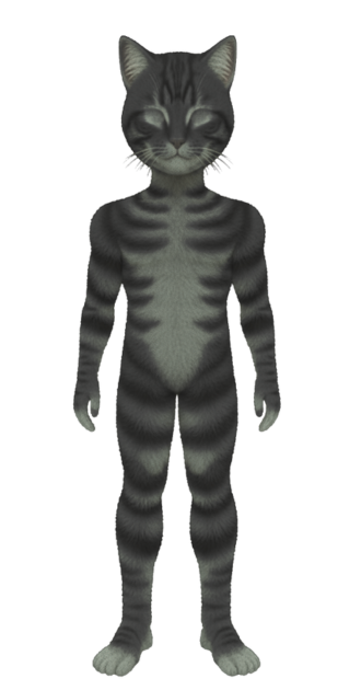 Cat Skin