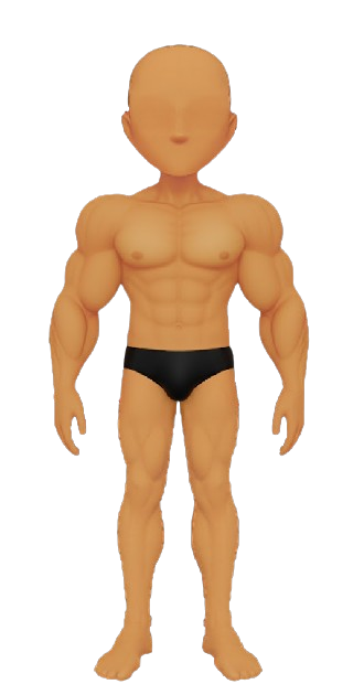 (MALE) Muscle Body