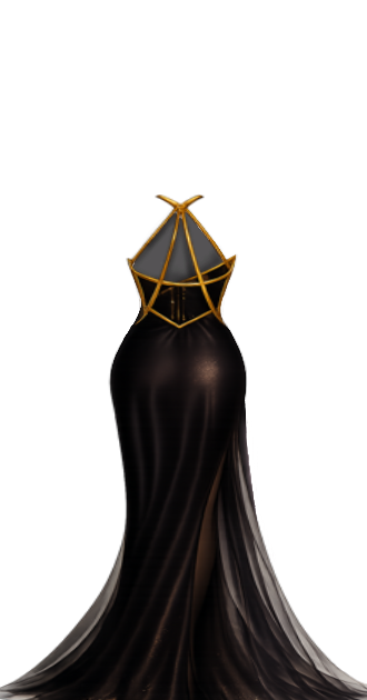 Black and Gold Dress