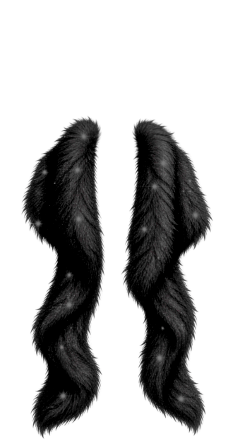 Alison Black Fur Coat