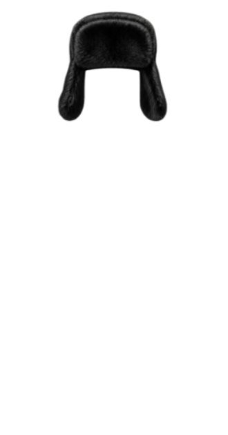 Black Ushanka