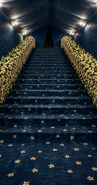 Met Gala (2025)