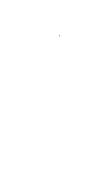 Tiffany Signature Pearl (Right side)