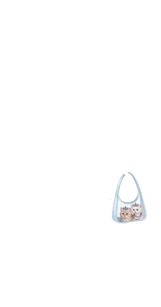 Bag Irene