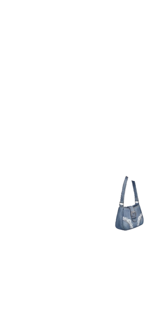 Bag Monica