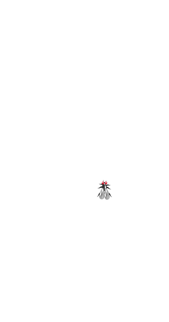 Midge in Kovaze