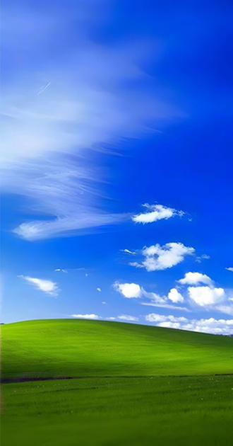 windows xp