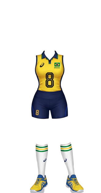 Brasil Volei