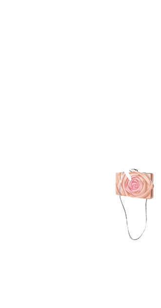 Bag Flower By Nena