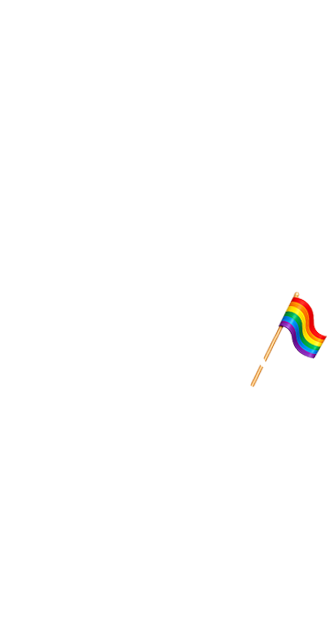 Gay Pride Flag (F)