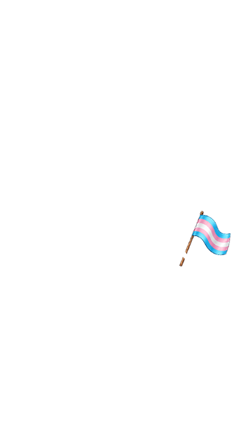 Transgender Pride Flag (F)