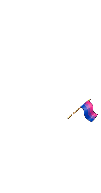 Bisexual Pride Flag (M)