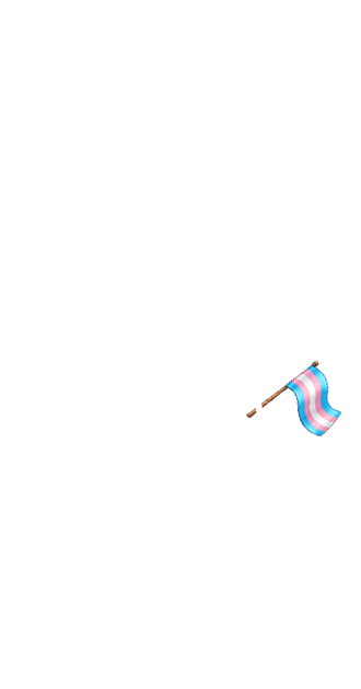 Transgender Pride Flag (M)