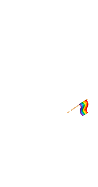 Gay Pride Flag (M)