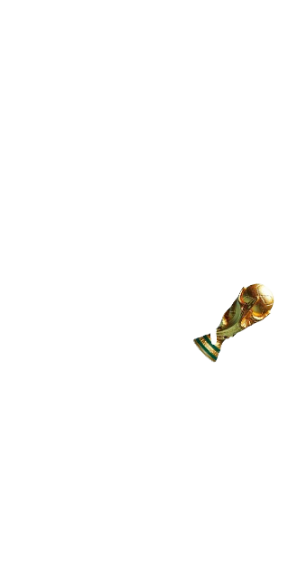 WORLD CUP FIFA MALE