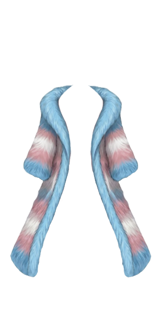 Trans Pride Coat
