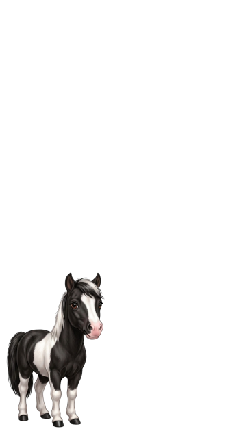 Mini Poney