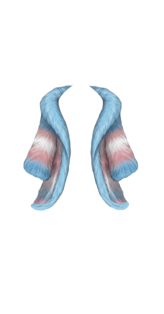 Trans Pride Faux Fur Coat