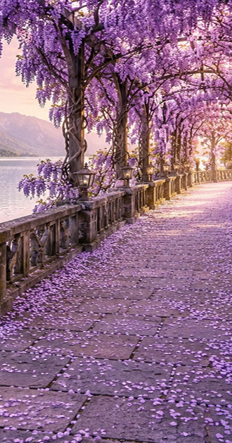 Lavender Lake Walkway