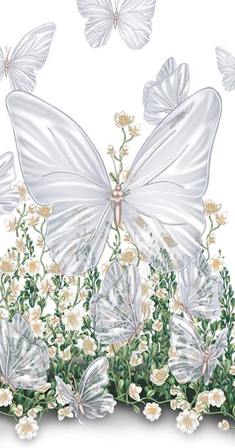 Butterfly BG By Nena