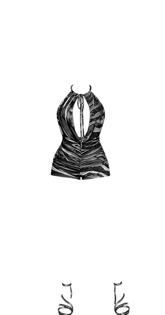 Sexy Zebra