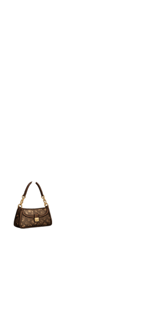 Mocha Mini Bag v2