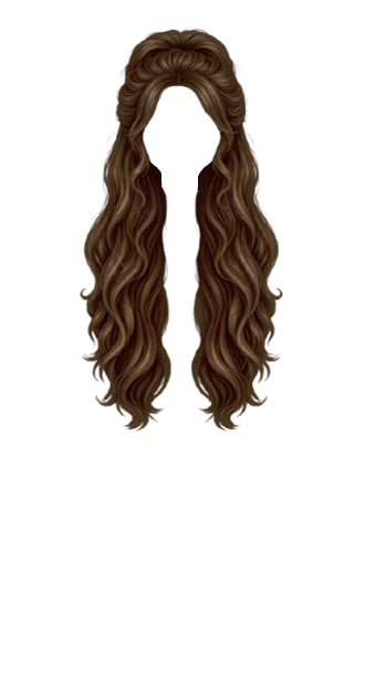 Ari Hair BR