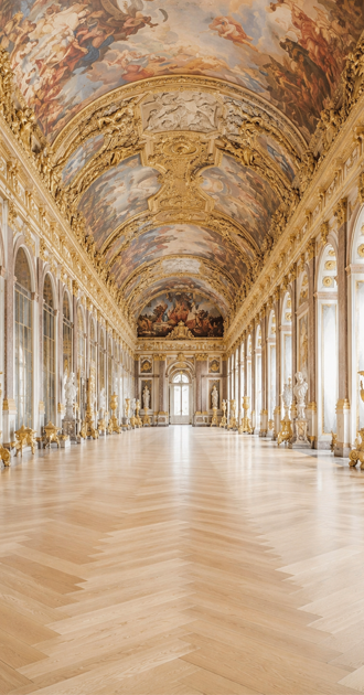 Looking Like an Angel on the Walls of Versailles v1