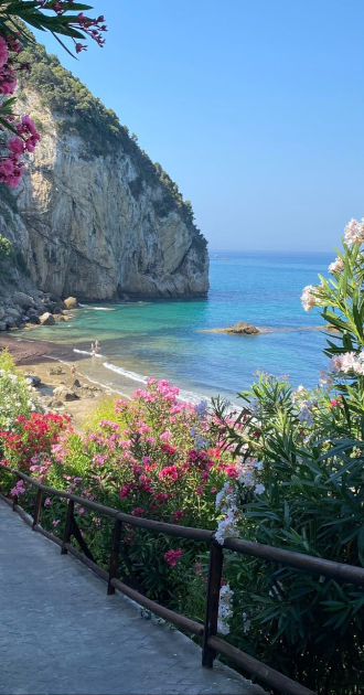 Beach View BG