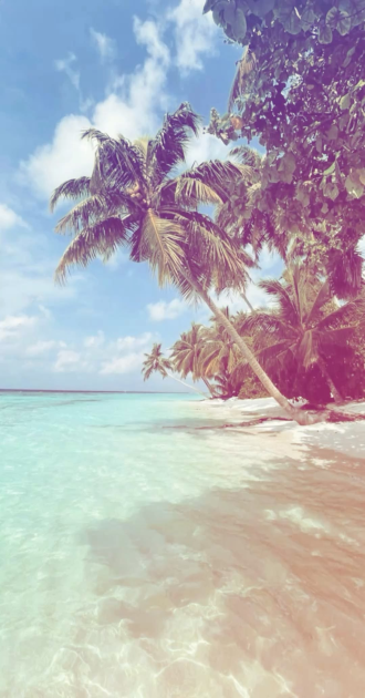 Beach Filter BG