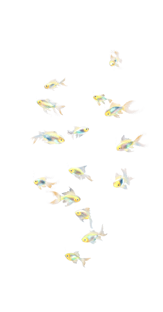 Fish Aura By Nena