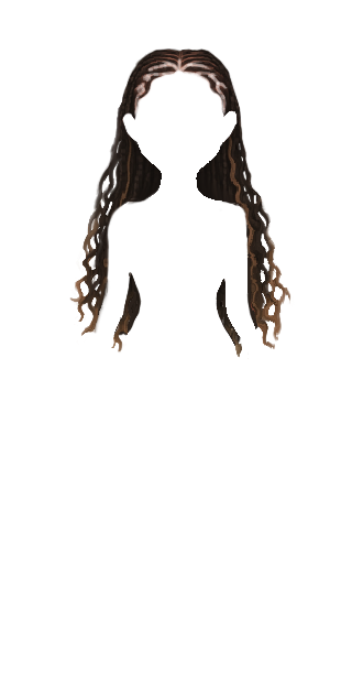 Balayage Boho Braids w/ Cornrows