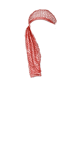 Scaf Popular Red