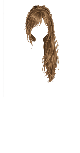 Brown Ponytail