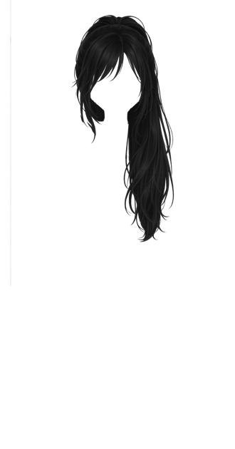 Black Ponytail