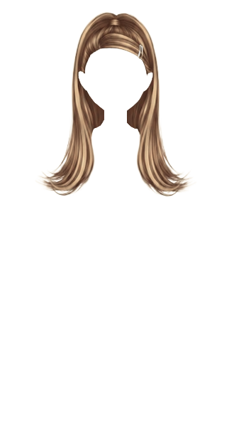 Light Brown w/ Blonde Highlights Andrea