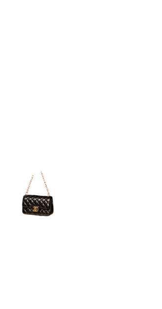 Black Chanel Bag