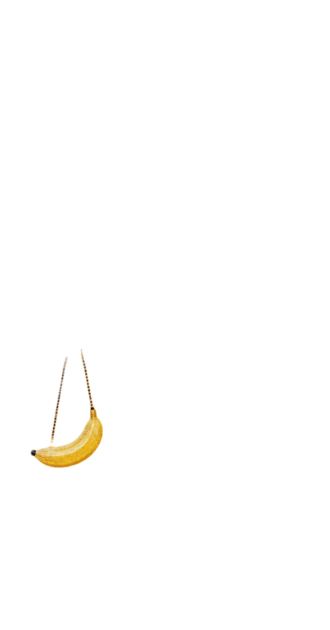 Banana Bag