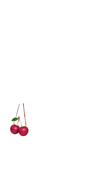 Cherry Bag