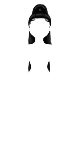 Sleek Ponytail Black