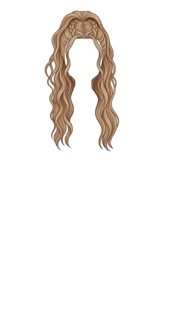 Honey Pony Braid