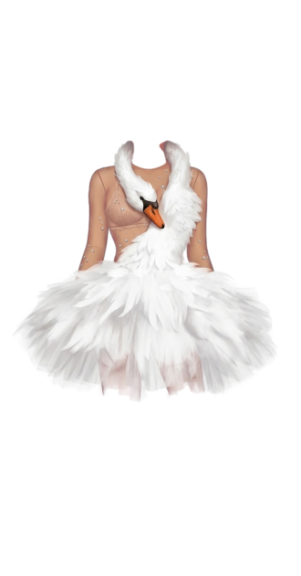 Pato Branco