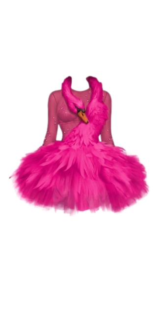Pato rosa