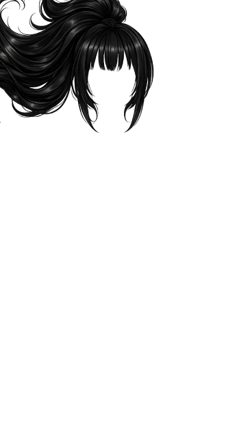 Black Hollywood Ponytail